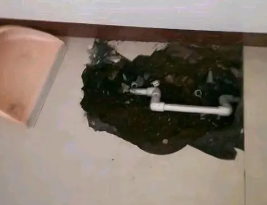 温泉卫生间测漏水多少钱